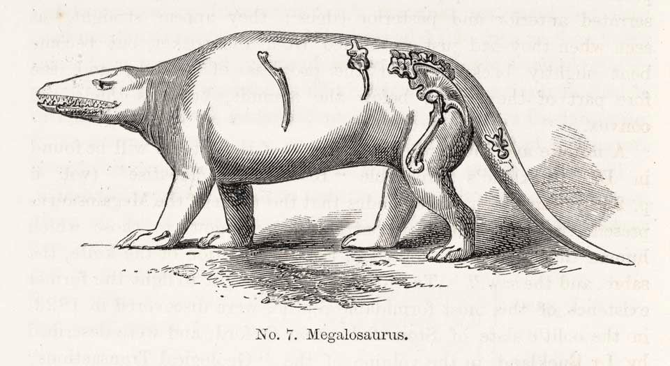 Megalosaurus restoration by Benjamin W. Hawkins. This work was on display in the original exhibition as item 6. Image source: Owen, Richard. Geology and Inhabitants of the Ancient World. London: Crystal Palace Library, and Bradbury & Evans, 1854, p. 20.