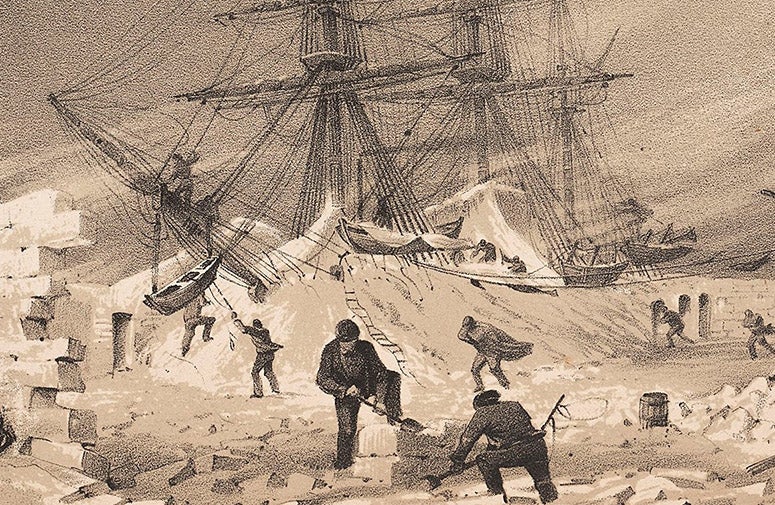 Detail of third image, to show the lithographic texture of the print (Linda Hall Library)