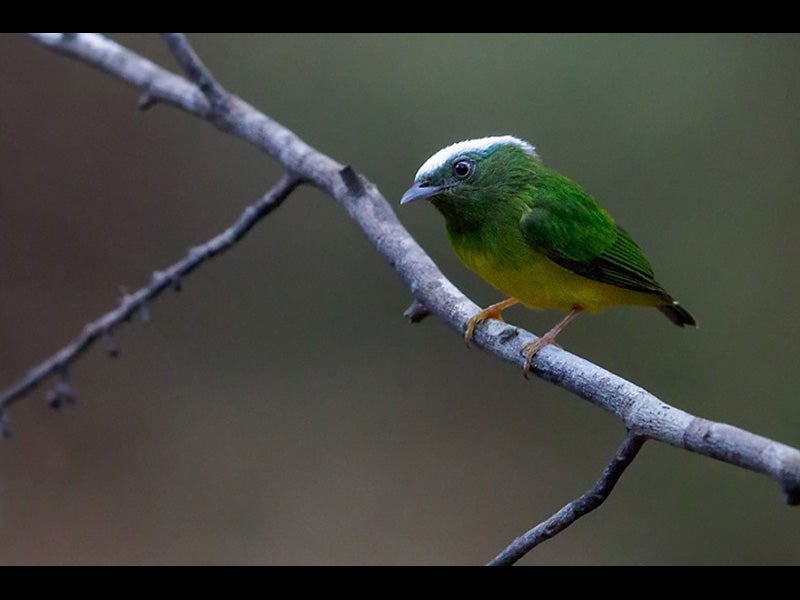 Glenn Bartley Nature Photography