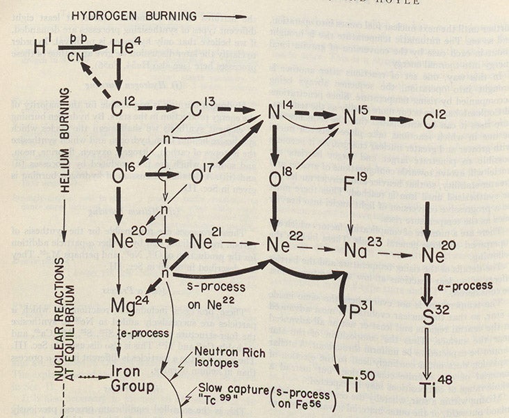 Detail of a chart of the various paths of stellar nucleosynthesis, as identified by the Burbidges, Fowler, and Hoyle in the B2FH paper, Reviews of Modern Physics, vol. 29, 1957 (Linda Hall Library)