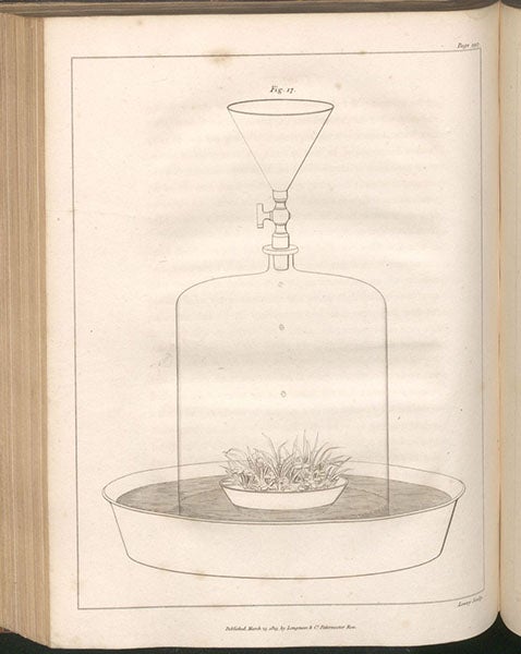 A variety of plants being grown under controlled conditions, engraving, Elements of Agricultural Chemistry, in a Course of Lectures for the Board of Agriculture, by Humphry Davy, fig. 17, foll. p. 197, 1813 (Linda Hall Library)