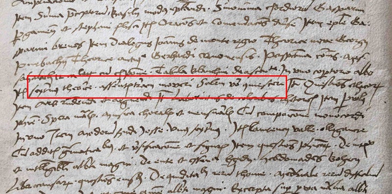 Excerpt from Miechowita’s library catalog, where he notes his ownership of a copy of Copernicus’s Commentaliolus with the entry: “sexternus theorice asserentis terram moveri Solem vero quiescere.” (Jagiellonian Library, photo by Karl Galle)
