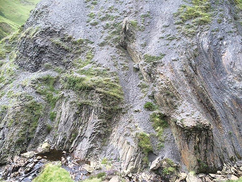 Some of the convoluted strata of the Scottish borders that Lapworth successfully sequenced using his knowledge of graptolite fossils, modem photograph (geoscientist.online)
