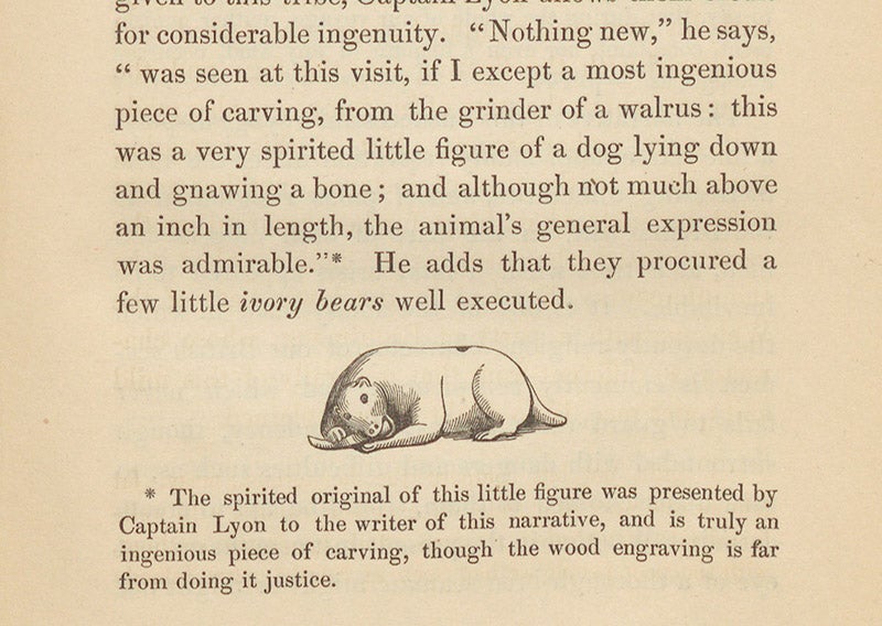 A tiny scrimshaw carving of a dog gnawing a bone, fashioned from a walrus molar by an Inuit, obtained by George Lyon in Hudson Bay and given to John Barrow, woodcut in in his Voyages of Discovery and Research within the Arctic Regions, 1846 (Linda Hall Library)