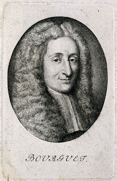 Portrait of Louis Bourguet, engraving, original source and date unknown, Wellcome Collection (wellcomecollection.org)