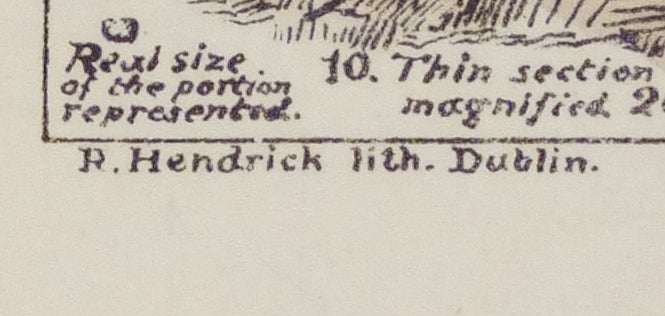 Mary Ward Sketches With the Microscope - Credit line for the lithographer on plate 14