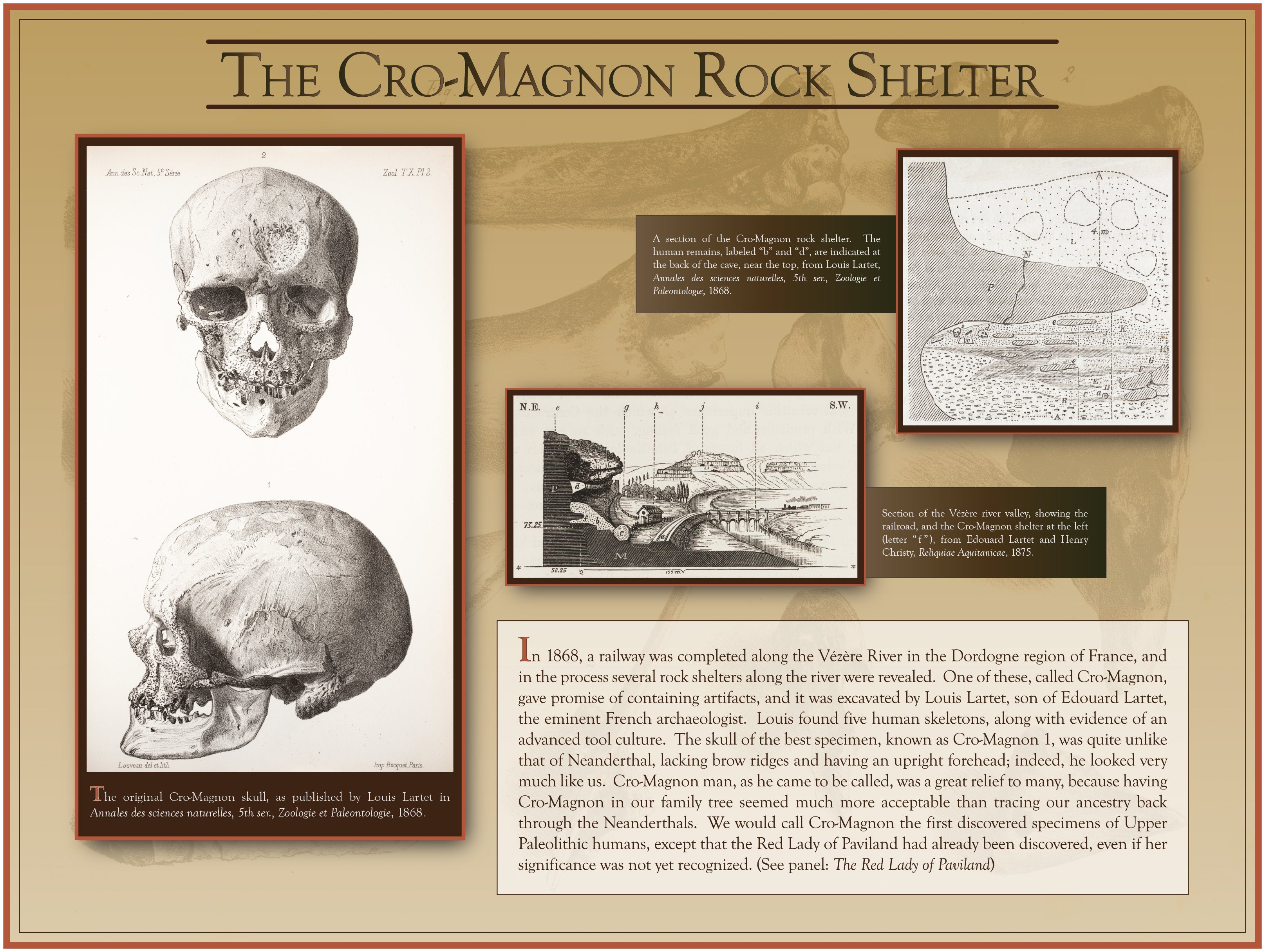 The Cro-Magnon Rock Shelter
Evidence of an advanced tool culture, found in 1868.