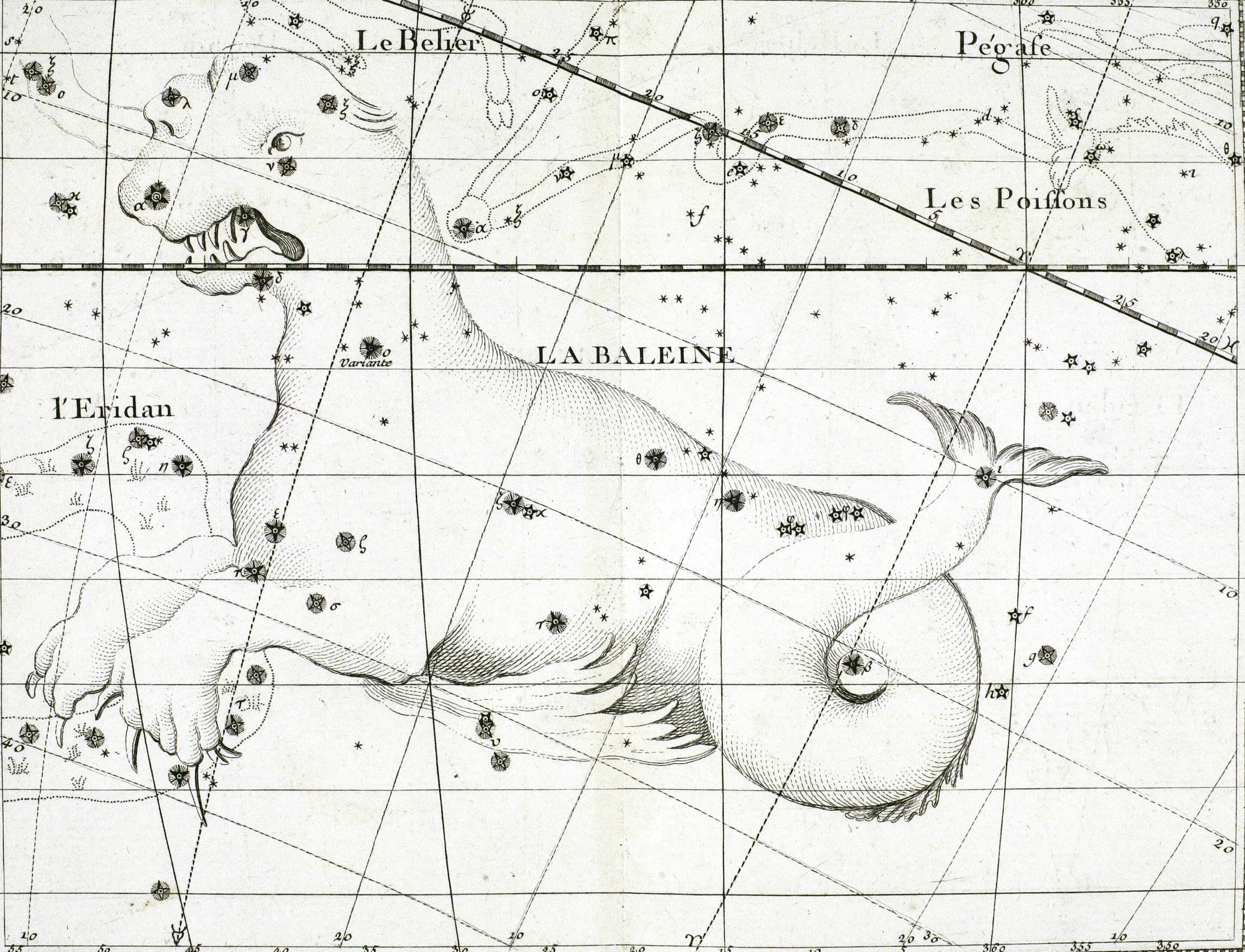 Cetus. Image source: Flamsteed, John. Atlas céleste. 2. éd. Par. M.J. Fortin. Paris: F.G. Deschamps [et chez] l’auteur, 1776, pl. 23.
