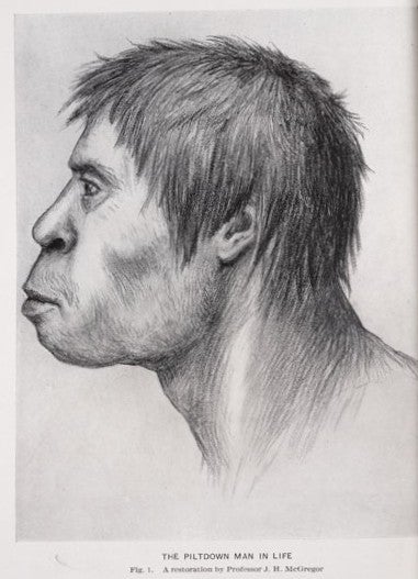 Illustration of the Piltdown man by J. H. McGregor. Image source: Gregory, William King. "The Dawn Man of Piltdown, England.” American Museum Journal, vol. 14, 1914, p. 188.