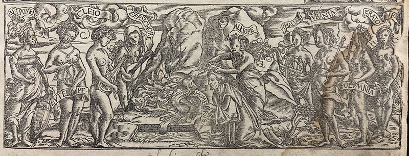 The Nine Muses, bottom panel of woodcut title-page border, by Hans Holbein, Strabonis geographicorum, 1523 (The Linda Hall)