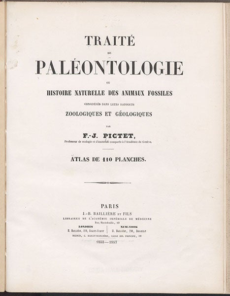 Title page, Traité de paléontologie, Atlas, by François-Jules Pictet, plate 8, 1853-57 (Linda Hall Library)  