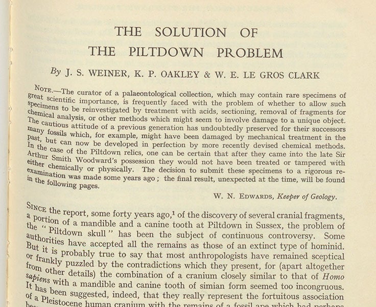 Detail of the first paragraph of "The solution to the Piltdown problem,” by Joseph S. Weiner, Kenneth P. Oakley, Wilfrid Le Gros Clark, Bulletin of the British Museum (Natural History), Geology, vol. 2, 1953 (Linda Hall Library)
