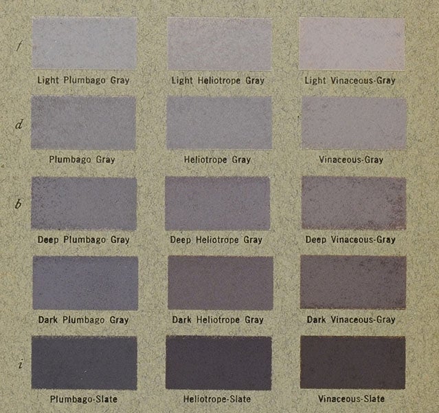 Swatches of various grays with names, detail of plate 50, Color Standards and Color Nomenclature, by Robert Ridgway, 1912 (Linda Hall Library)