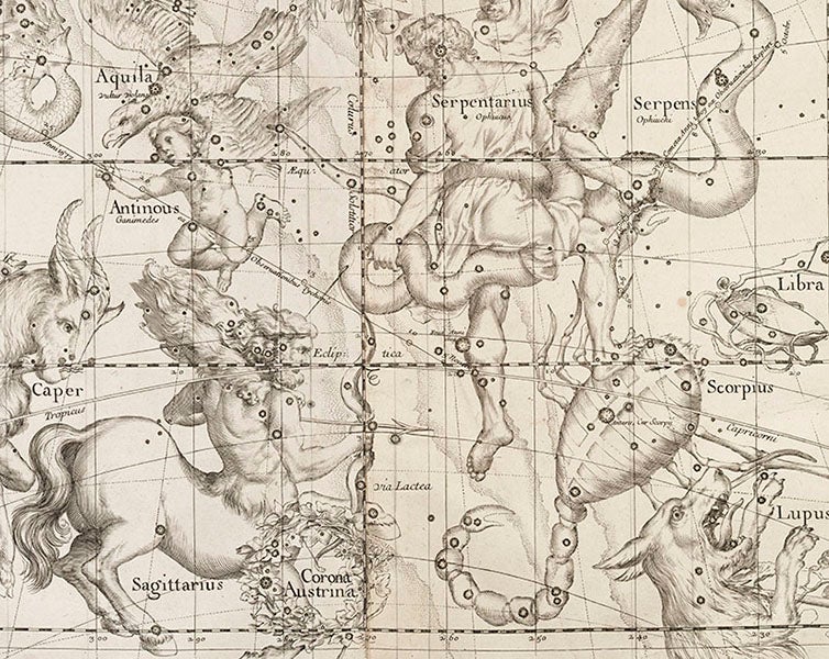 Serpentarius, Aquila, Sagittarius, and Scorpius, detail of plate 3 of Ignace-Gaston Pardies, <i>Globi coelestis</i>, 1674 (Linda Hall Library)