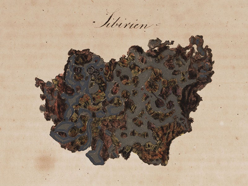 A fragment of the Pallas iron, from Karl von Schreibers, <i>Beytrage zur Geschichte und Kenntniss meteorischer Stein- und Metall-Massen</i>, 1820 (Linda Hall Library)
