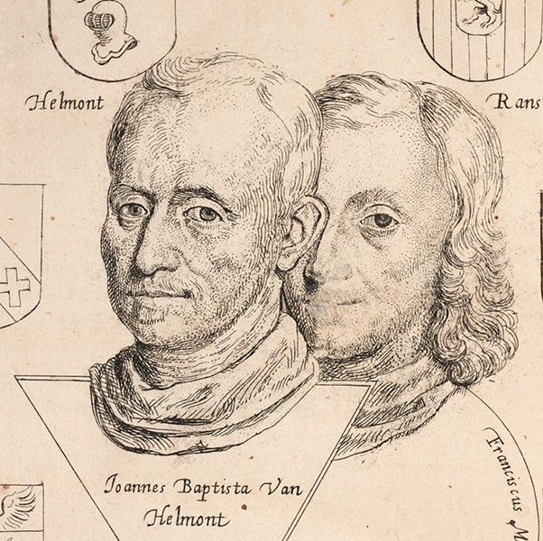 Dual portrait of Joan Baptista van Helmont (left) and his son, Franciscus Mercurius van Helmont, detail of frontispiece to van Helmont’s <i>Ortus medicinae</i>, 1648 (Linda Hall Library)