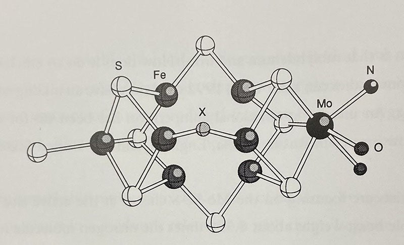 Active site (X) of a nitrogenase molecule, with 7 iron atoms (Fe) in dark grey and a single molybdenum atom (Mo) in black, diagram in Chemistry Imagined: Reflections on Science, by Roald Hoffmann, with collages by Vivian Torrence, 1993 (author’s copy)