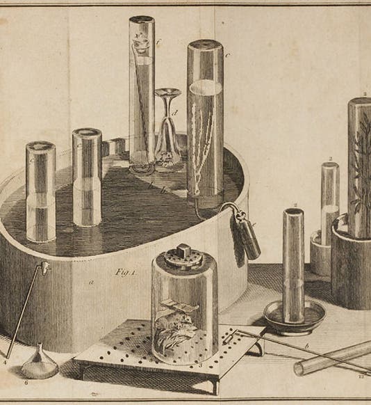 Daniel Rutherford - Linda Hall Library