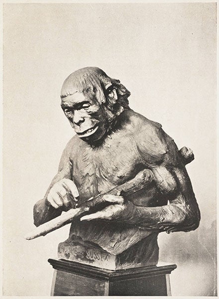 Bronze bust of “Le Homme de Sussex” (Piltdown man), by Louis Mascré for Aimé Rutot, before 1914, Memoires Academie Royale de Belgique, 1916 (Linda Hall Library)