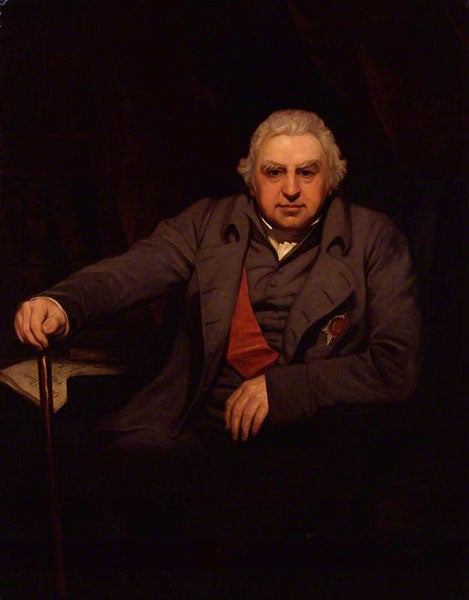 Joseph Banks, oil on canvas, by Thomas Phillips, 1810, National Portrait Gallery, London (artuk.org)