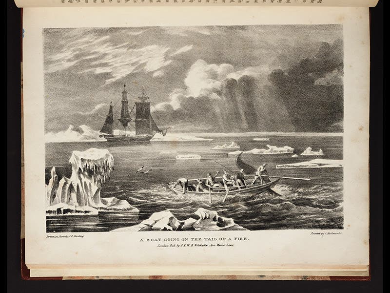 George Manby Scientist of the Day - George Manby, Inventor and Mariner - The Linda Hall
