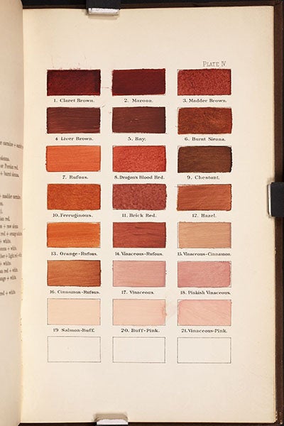 Swatches of various browns with names, plate 4 entire, A Nomenclature of Colors for Naturalists, by Robert Ridgway, 1886 (Linda Hall Library)