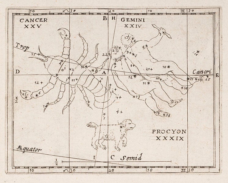 The constellations Gemini and Cancer, etching in Christoph Grienberger, Catalogus veteres … cum novis, 1612 (Linda Hall Library)