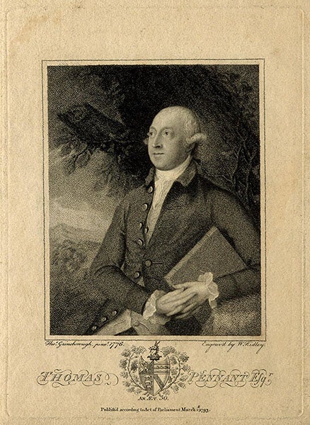 Thomas Pennant, portrait, stipple engraving by W. Ridley, 1793, after a painting by Thomas Gainsborough, 1776 (Wellcome Collection)