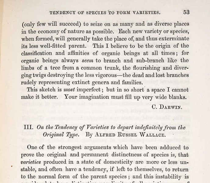 The beginning of the paper by Alfred Russel Wallace, “On the Tendency of Varieties to depart indefinitely from the Original Type,” as printed in the Journal of the Proceedings of the Linnean Society, Zoology, vol. 3, p. 53, 1859 (Linda Hall Library)