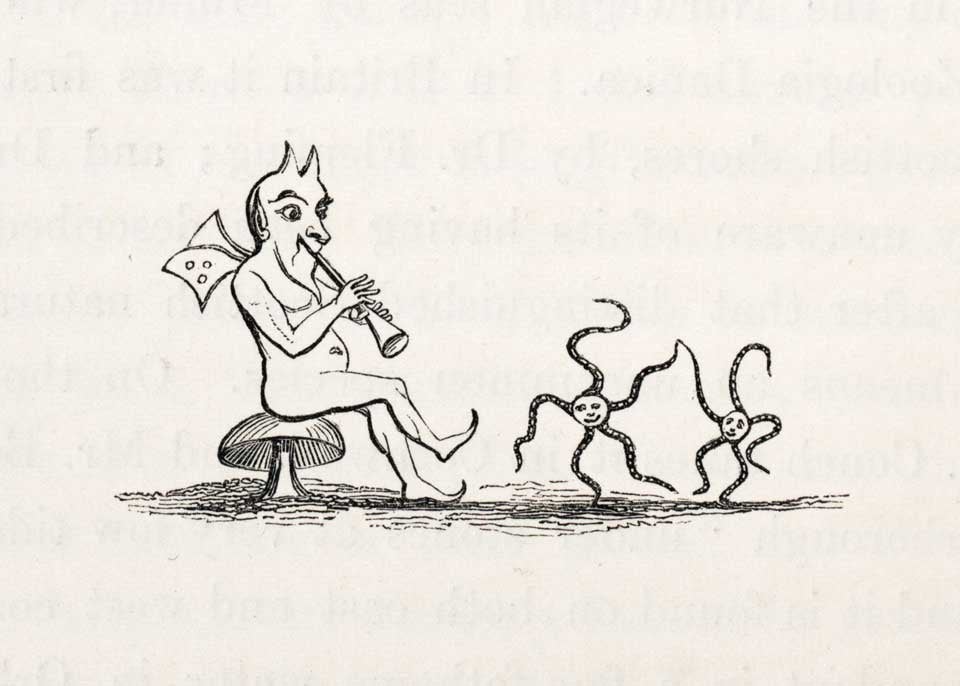 “Dancing starfish,” vignette. Image source: Forbes, Edward. A History of British Star-Fishes, and Other Animals of the Class Echinodermata. London: John Van Voorst, 1841, p. 56.