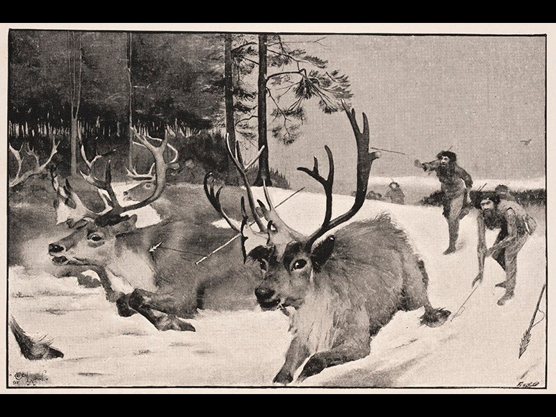 hum023004, 10/15/10, 2:37 PM,  8C, 6000x8000 (0+0), 100%, lhl,  1/60 s, R62.0, G48.2, B58.1