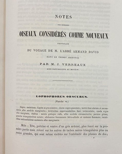 First page of article by Jules Verreaux, on a Chinese partridge discovered by Father Armand David in China, Bulletin des Nouvelles Archives du Muséum, vol. 5, 1869 (Linda Hall Library)