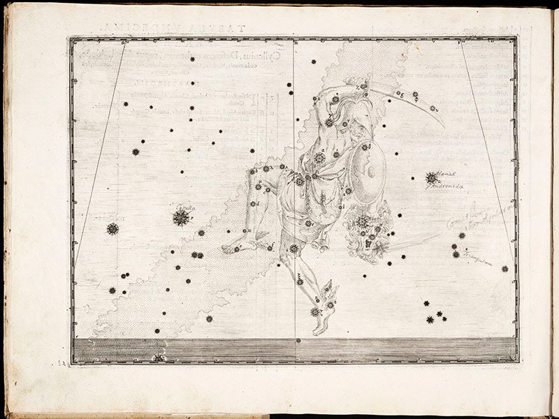 The constellation Perseus, engraving, in Johann Bayer, Uranometria, 1603. Algo (beta Persei) is the star in the right eye of the head of Medusa (Linda Hall Library)