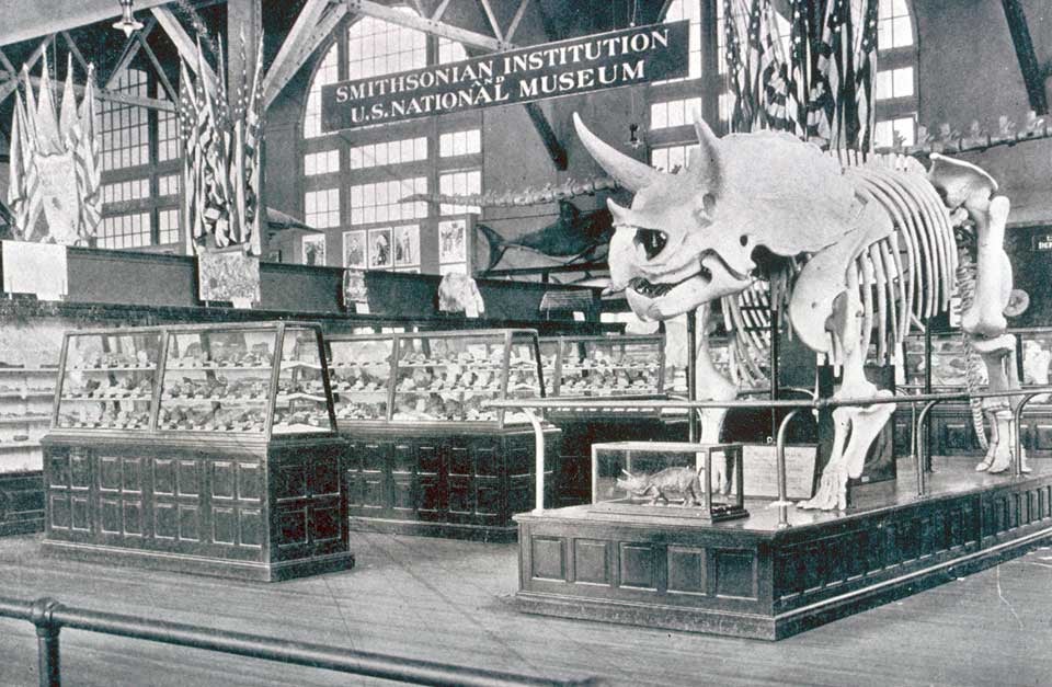 Triceratops mount at the Pan-American Exposition. This work was on display in the original exhibition as item 23. Image source: Merrill, George P. "Report on the Department of Geology for the Year 1900-1901," in: Annual Report of the Board of Regents of the Smithsonian Institution. Report of the U. S. National Museum, for the year ending June 30, 1901, pl. 58.