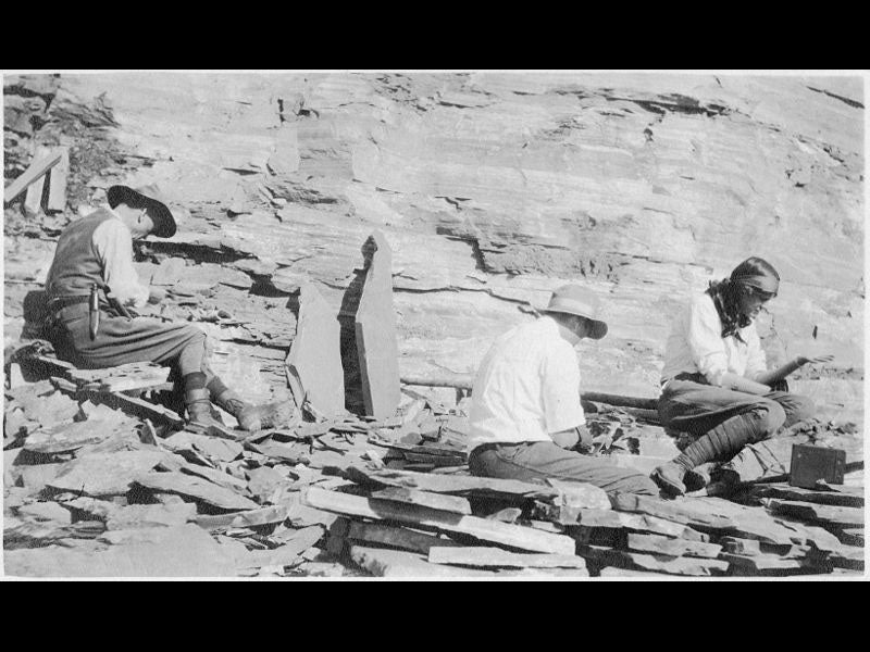 Charles Doolittle Walcott Linda Hall Library