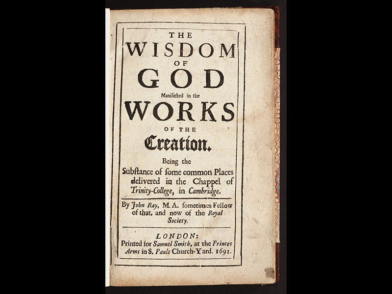 John Rey Philosopher Scientist of the Day - John Ray, English Naturalist and Cleric - The ...