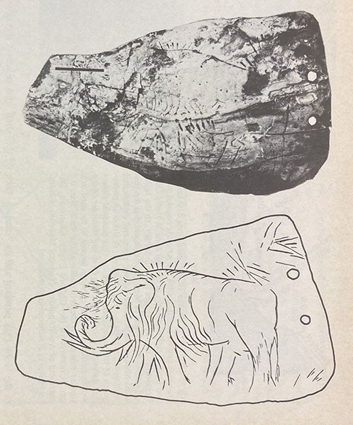 Photograph and sketch of the Holly Oak pendant, supposedly found by Hilborne T. Cresson at Holly Oak, Delaware, before 1865, Science, vol. 192, no. 4241, p. 757, May 21, 1976 (Linda Hall Library)