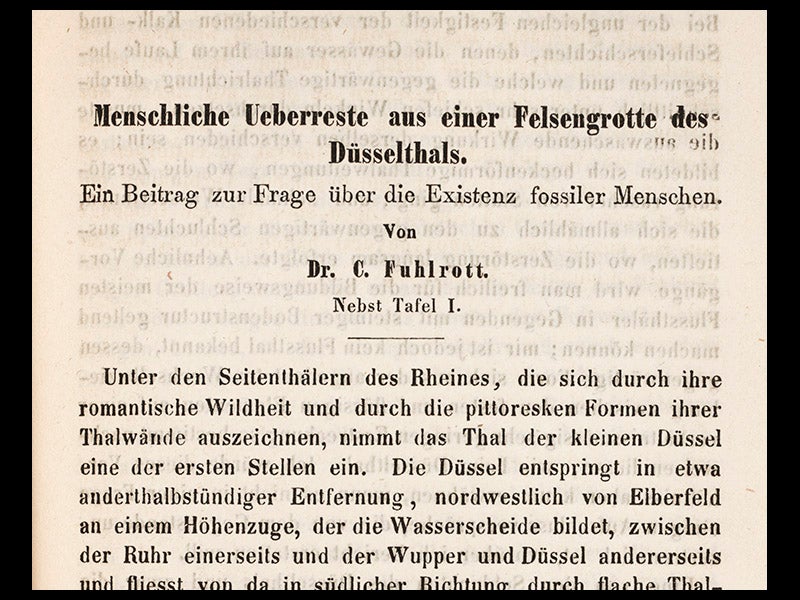 hum01302, 11/11/10, 3:00 PM,  8C, 5444x8000 (459+0), 100%, lhl,  1/60 s, R55.5, G42.4, B52.4