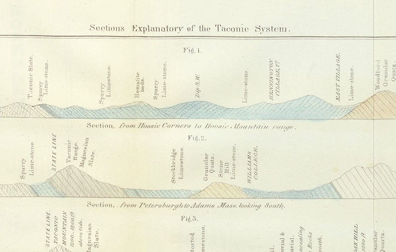 Sections showing elements of the Taconic system, detail of a larger engraved plate, Ebenezer Emmons, Geology of New York, vol. 2, 1842 (Linda Hall Library)