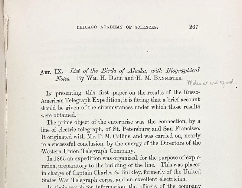 First page of   “List of the birds of Alaska,” by William Healey Dall and H.M. Bannister, Transactions of the Chicago Academy of Sciences, vol. 1, p. 267, 1867-69 (Linda Hall Library)
