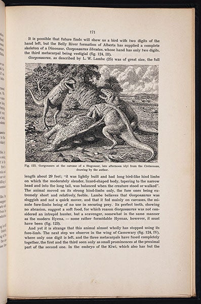 “Gorgosaurs at the carcase of a Stegosaur, late afternoon idyl from the Cretaceous, drawing by the author,” Gerhard Heilmann, The Origin of Birds, 1926 (Linda Hall Library)