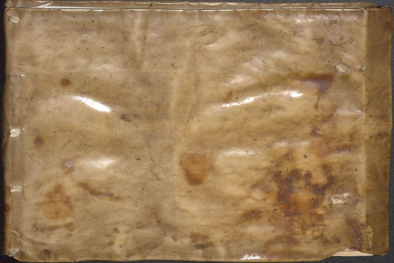 Limp vellum binding, front cover, De aquatilibus, by Pierre Belon, 1553 (Linda Hall Library)