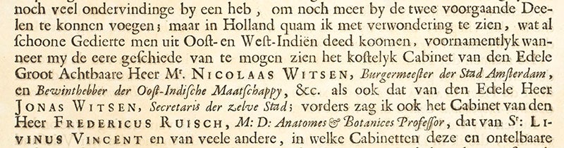 Maria Merian praises the cabinet of curiosities of Nicolaas Witsen, detail of image above (Linda Hall Library)