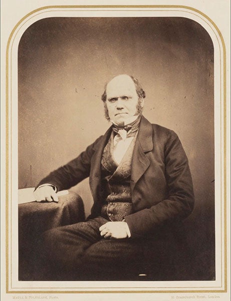Portrait of Charles Darwin, albumen print, ca 1855, National Portrait Gallery, London (npg.org.uk)