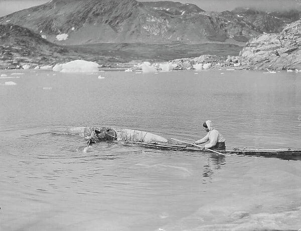 Learning to roll an Inuit kayak, photo by Henry Iliffe Cozens, 1930, Scott Polar Research Institute (spriprints.com)