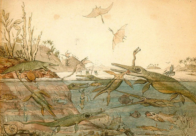 <i>Duria Antiquior</i>, watercolor by Henry Thomas De la Beche, 1830, National Museum of Wales (Wikimedia commons)