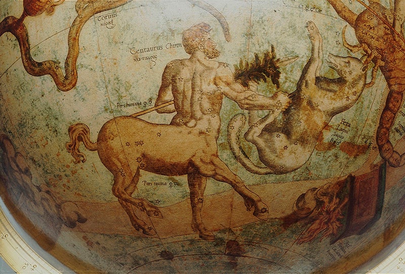 The constellations Centaurus and Lupus, detail of 16-inch celestial globe by Gerard Mercator, 1551, gift of James Caird (rmg.co.uk)