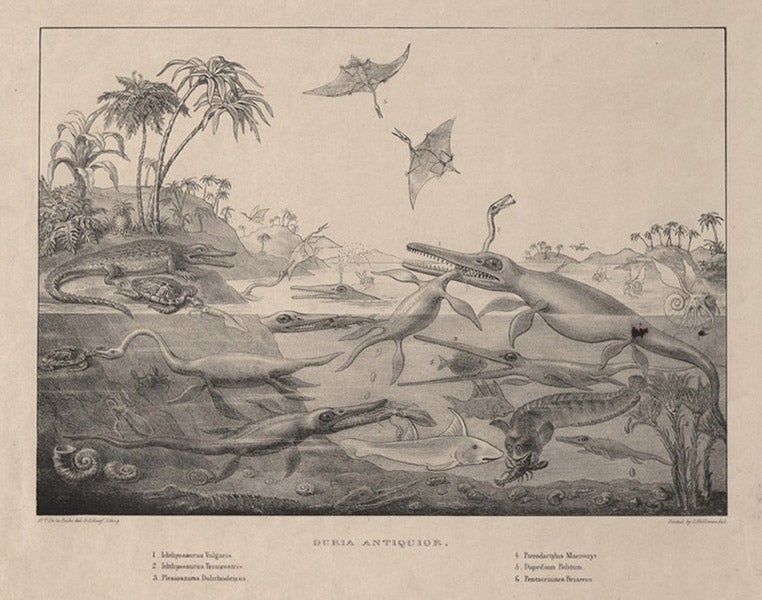 “Duria antiquior,” lithograph by George Scharf after Henry Thomas De la Beche, 1830, History of Science Museum, University of Oxford (mhs.web.ox.ac.u)