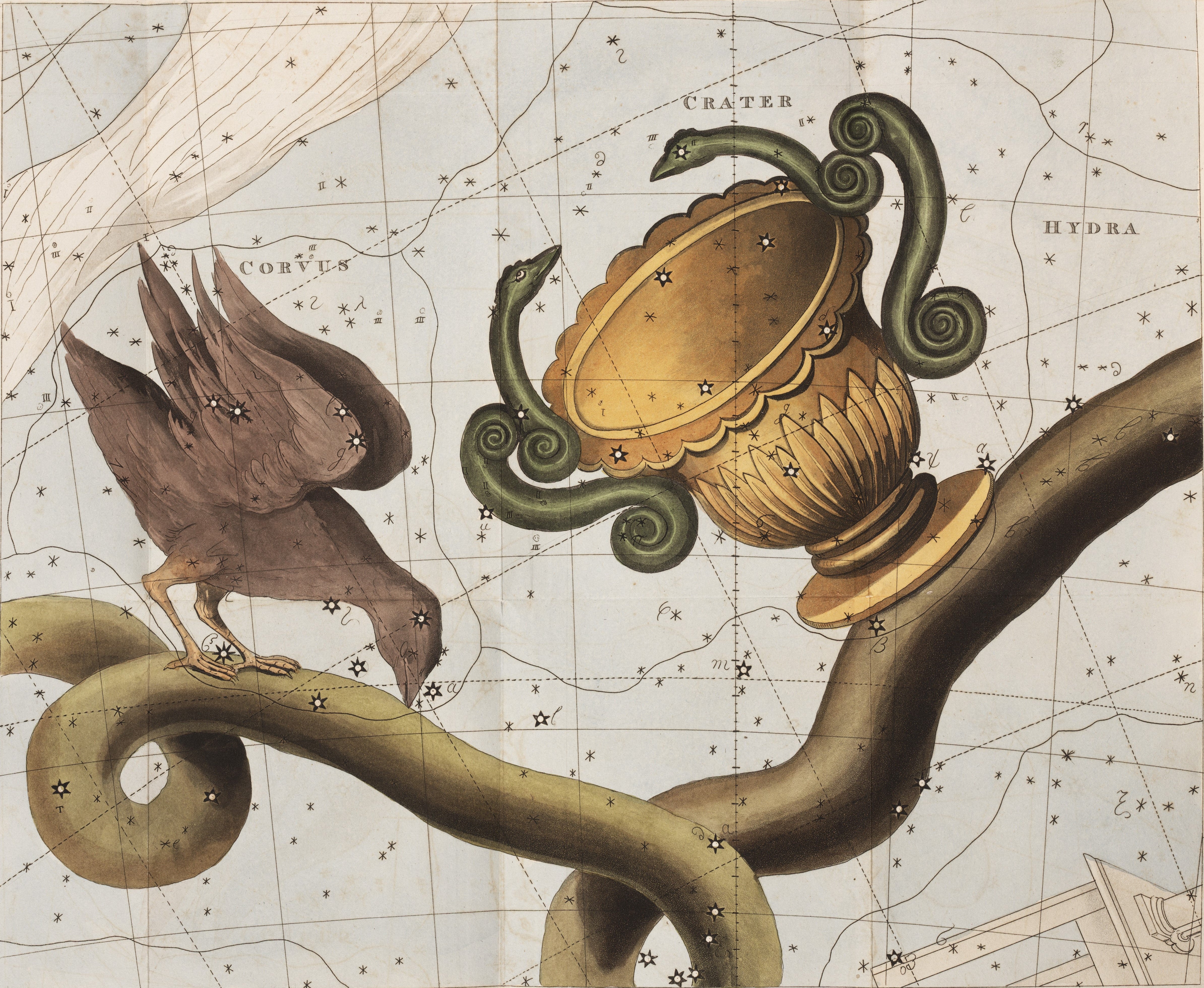 Corvus, Crater, and the tail of Hydra. Image source: Whitwell, Catherine Vale. An Astronomical Catechism, or, Dialogues between a Mother and Her Daughter. London: By the author, 1818, frontispiece. 
