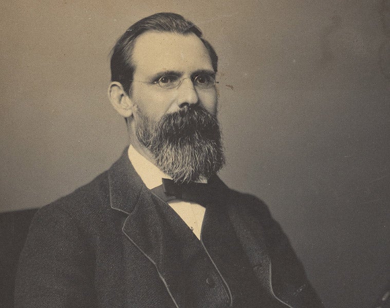 Portrait of Charles Lapworth, undated photograph, University of Birmingham (birmingham.ac.uk)